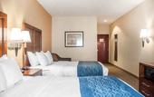 Туры в отель Comfort Inn & Suites Hamburg - Buffalo South