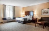 Туры в отель Comfort Inn & Suites Hamburg - Buffalo South