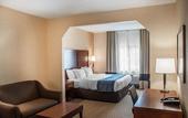 Туры в отель Comfort Inn & Suites Hamburg - Buffalo South