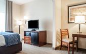 Туры в отель Comfort Inn & Suites Hamburg - Buffalo South