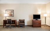 Туры в отель Comfort Inn & Suites Hamburg - Buffalo South