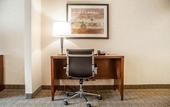 Туры в отель Comfort Inn & Suites Hamburg - Buffalo South