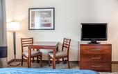 Туры в отель Comfort Inn & Suites Hamburg - Buffalo South