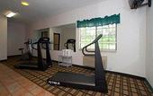 Туры в отель Comfort Inn & Suites Hamburg - Buffalo South