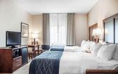 Туры в отель Comfort Inn & Suites Hamburg - Buffalo South