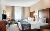 Туры в отель Comfort Inn & Suites Hamburg - Buffalo South