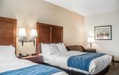 Туры в отель Comfort Inn & Suites Hamburg - Buffalo South