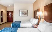 Туры в отель Comfort Inn & Suites Hamburg - Buffalo South
