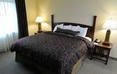 Туры в отель Staybridge Suites Williamsville Buffalo by IHG