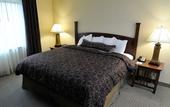 Туры в отель Staybridge Suites Williamsville Buffalo by IHG