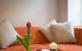 Туры в отель Topolowa Residence by StayLab