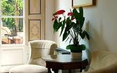 Туры в отель Classic Hotel