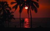 Туры в отель Kona Coast Resort