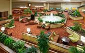 Туры в отель Holiday Inn Cincinnati Airport by IHG