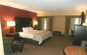 Туры в отель Holiday Inn Florence by IHG