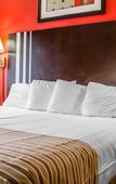 Туры в отель Rodeway Inn Macarthur Airport