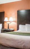 Туры в отель Rodeway Inn Macarthur Airport