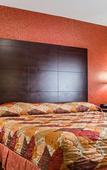 Туры в отель Rodeway Inn Macarthur Airport