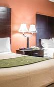 Туры в отель Rodeway Inn Macarthur Airport