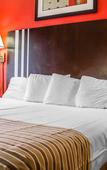 Туры в отель Rodeway Inn Macarthur Airport