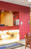 Туры в отель Rodeway Inn Macarthur Airport