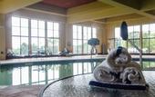 Туры в отель Holiday Inn Pewaukee - Milwaukee West by IHG
