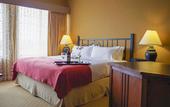 Туры в отель Holiday Inn Pewaukee - Milwaukee West by IHG