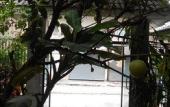 Туры в отель G2 Boutique Hotel