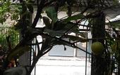 Туры в отель G2 Boutique Hotel