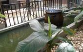 Туры в отель G2 Boutique Hotel
