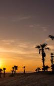 Туры в отель Guaycura Boutique Hotel Beach Club & Spa
