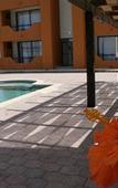 Туры в отель Sunrock Hotel and Suites
