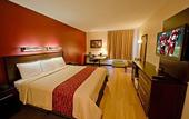 Туры в отель Red Roof Inn PLUS+ Long Island - Garden City