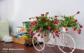 Туры в отель Collection O Madam Cuc Hotel