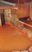 Туры в отель Hotel Hanakoyado