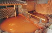 Туры в отель Hotel Hanakoyado