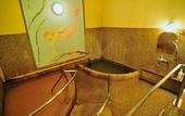 Туры в отель Hotel Hanakoyado