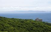 Туры в отель Hotel New Awaji