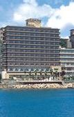 Туры в отель Hotel New Awaji