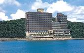 Туры в отель Hotel New Awaji