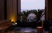 Туры в отель Hotel New Awaji