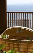 Туры в отель Hotel New Awaji