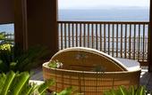 Туры в отель Hotel New Awaji
