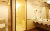 Туры в отель Hotel New Awaji