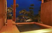 Туры в отель Hotel New Awaji