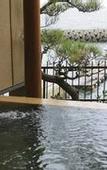 Туры в отель Hotel New Awaji