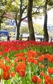 Туры в отель Daiwa Roynet Hotel Yokohama - Koen