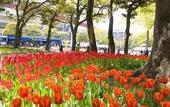 Туры в отель Daiwa Roynet Hotel Yokohama - Koen