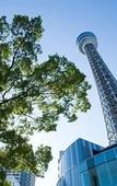 Туры в отель Daiwa Roynet Hotel Yokohama - Koen