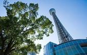 Туры в отель Daiwa Roynet Hotel Yokohama - Koen